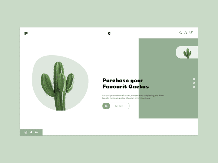 Web design - Cactus store