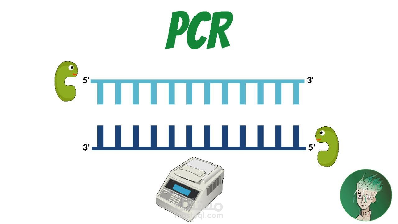 شرح تقنية الPCR | مستقل