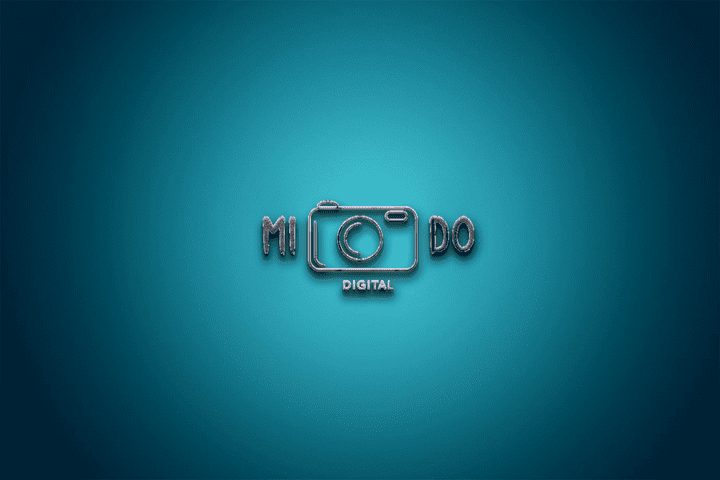 Photographer's logo