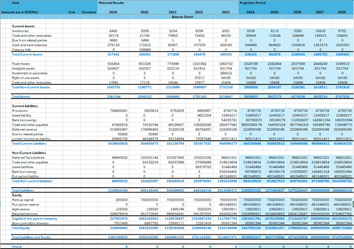 it was my graduation project about doing financial modeling for company