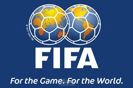 Fifa law assistant