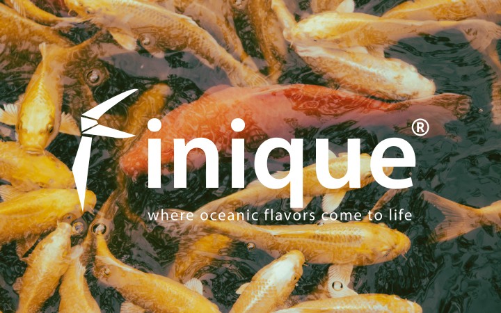 A brand identityfor fish resturant called "Finique"