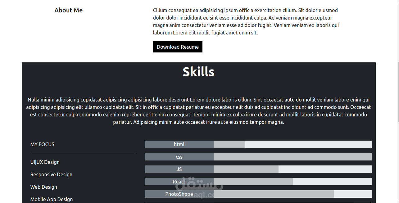 portfolio