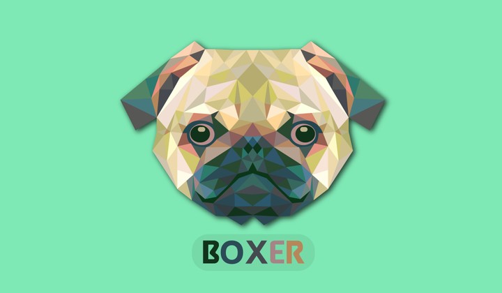 Boxer