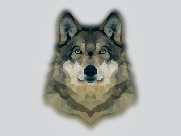 Wolf Design