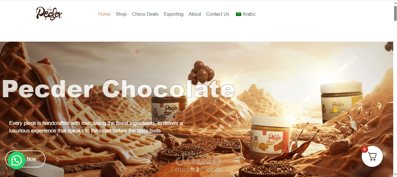 wordpress website