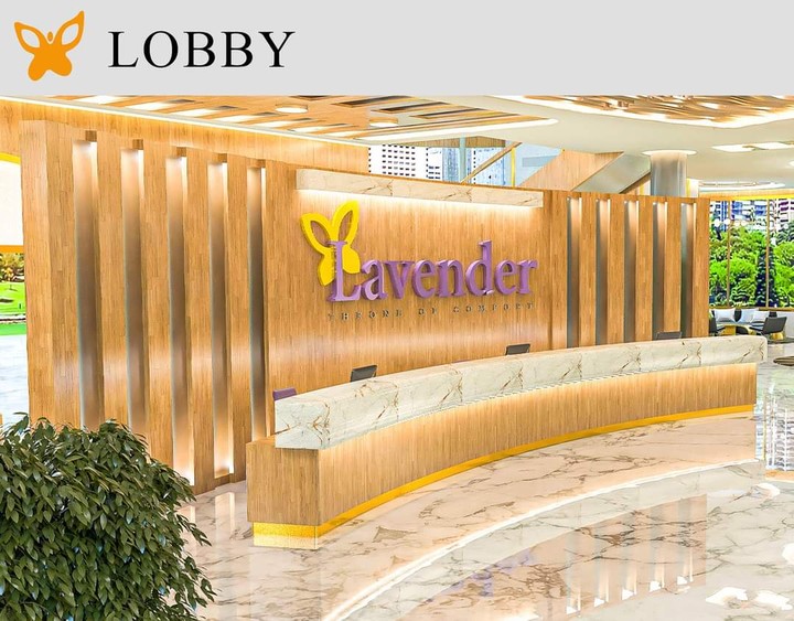 تصميم بهو دخول (lobby)