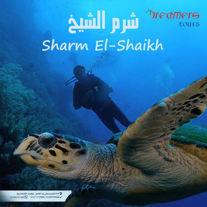 A trip to Sharm El Sheikh