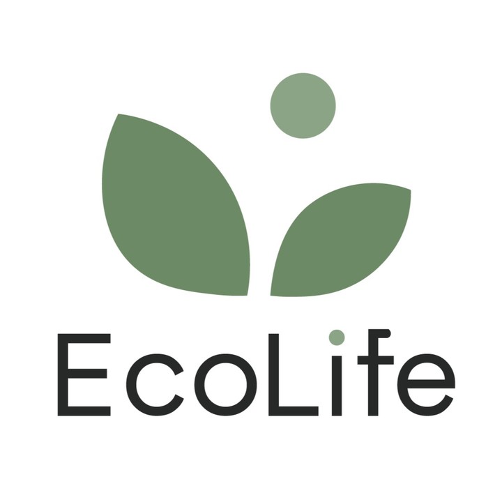 تصميم شعار و الهوية البصرية الخاص بشركة EcoLife