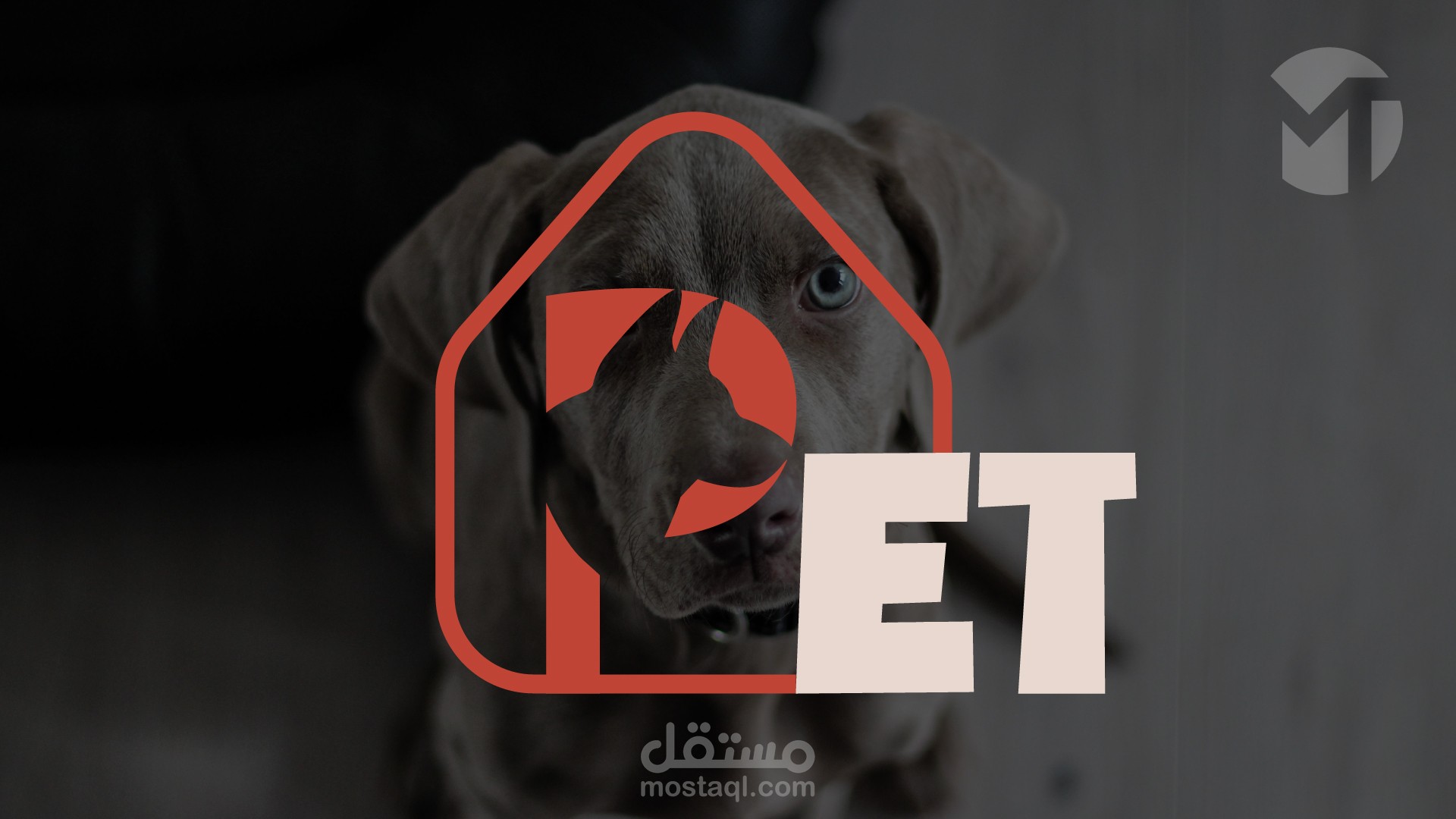 Pet Shop | Logo & Brand Identity