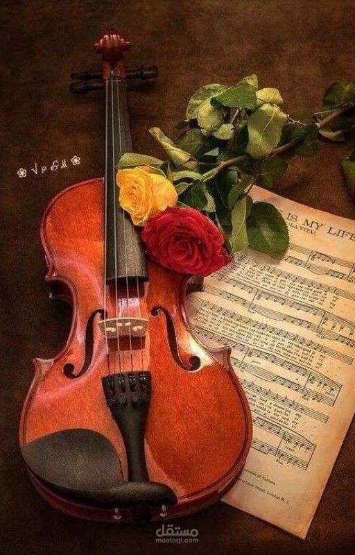 The violin