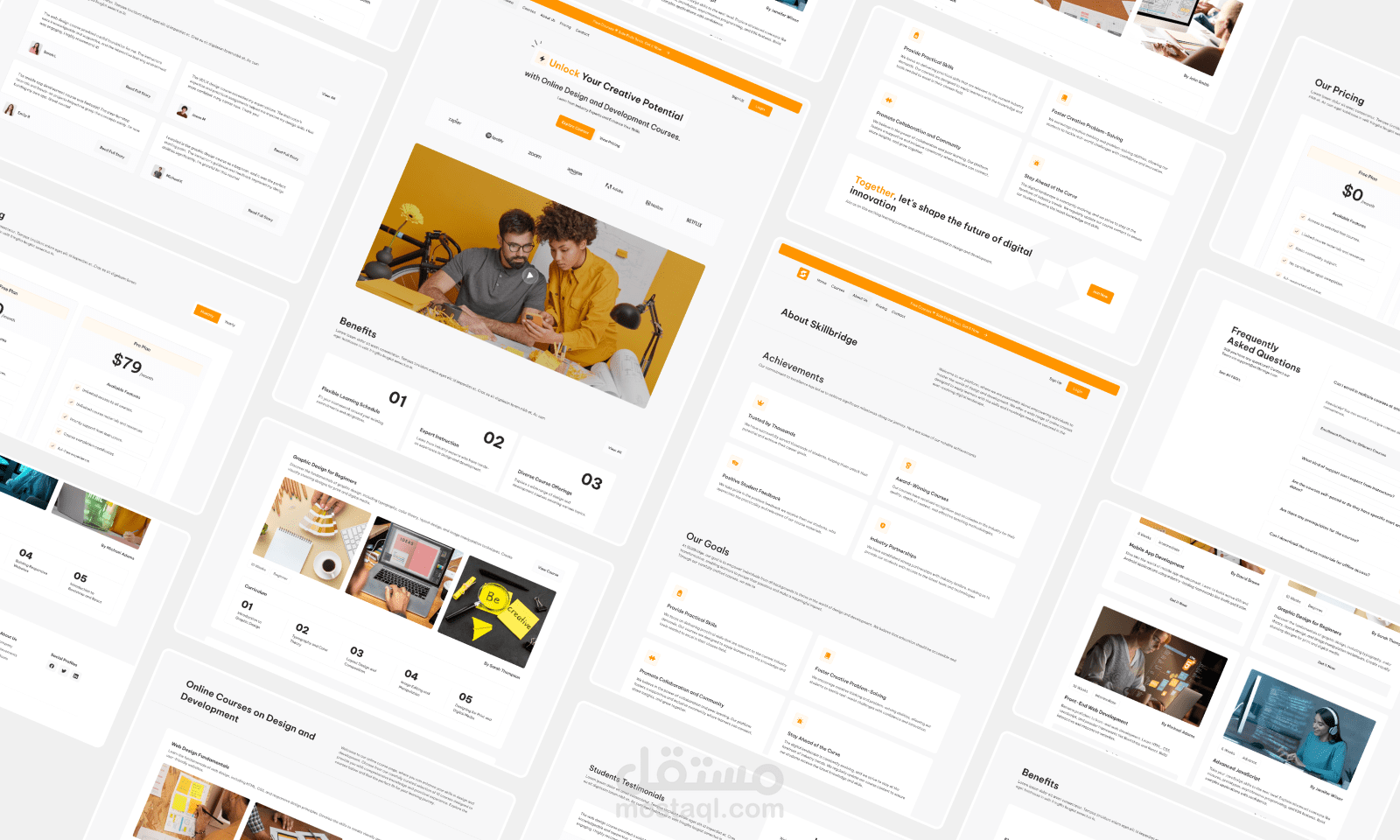 جسر المهارات - Skillbridge