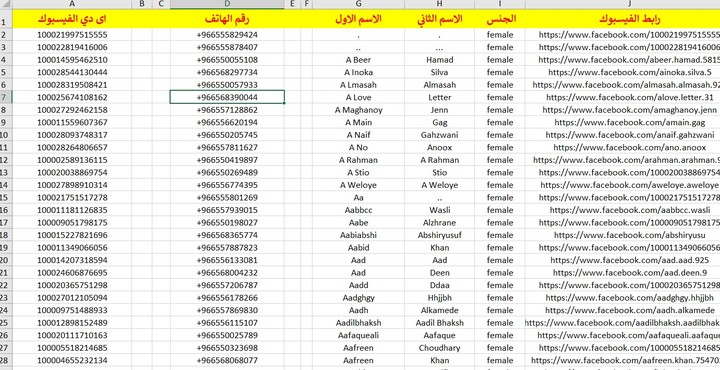 داتا بيانات نساء السعودية 5 مليون اسم