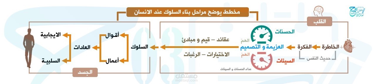 مخطط يوضح مراحل بناء السلوك عند الانسان