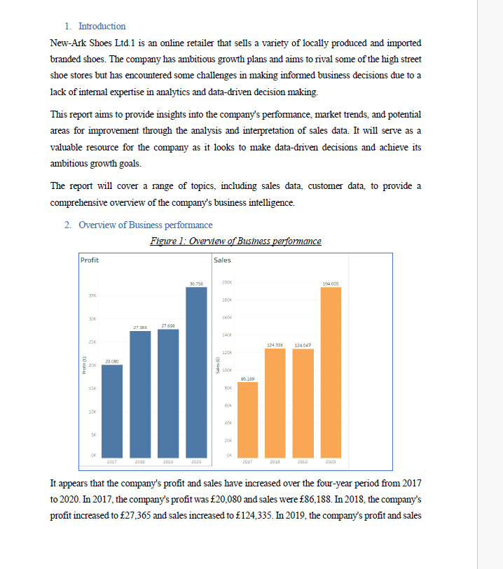 تقرير ذكاء الأعمال لشركة نيو-آرك للأحذية المحدودة Business Intelligence Report