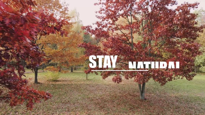 Stay-Natural,-Safe,-and-Creative