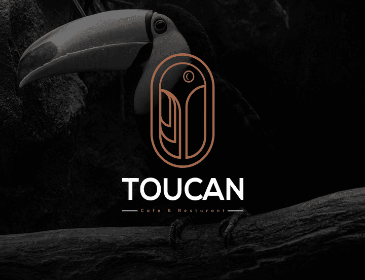 Toucan Brand Identity