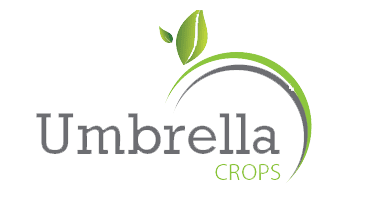 شعار شركة امبريلا جروب