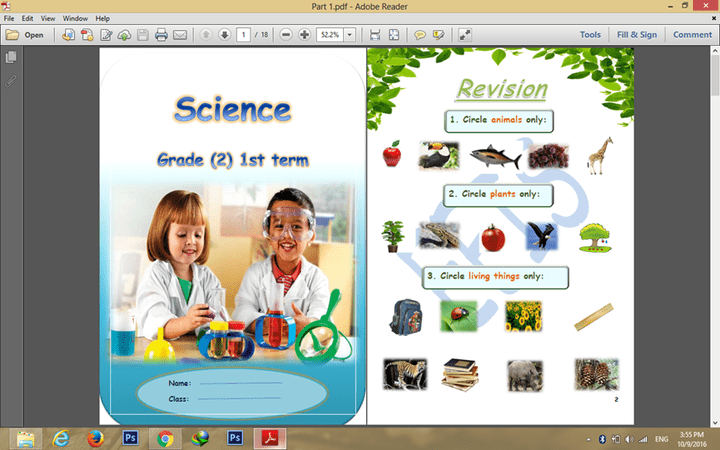 Science booklet