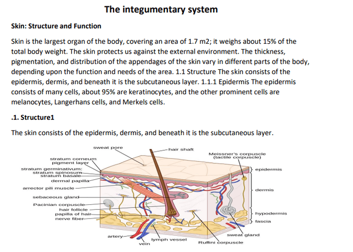 Investigating the Role of the Integumentary System in Wound Healing: A Comprehensive Study