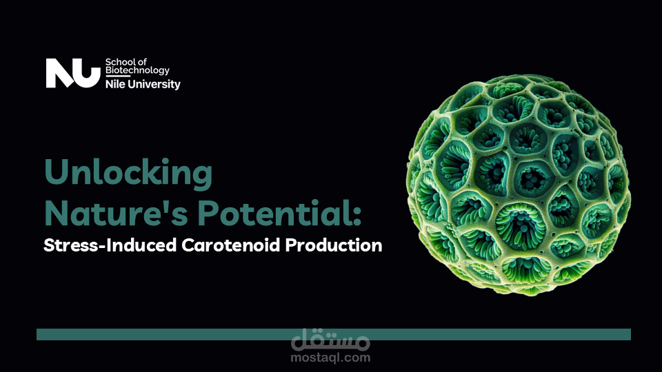 تصميم عرض تقديمي PowerPoint عن ال Carotinoids مع إضافة animation و transitions مميزة.