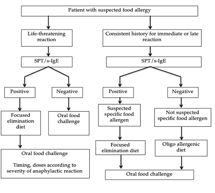 Allergy prediction and recommendation system