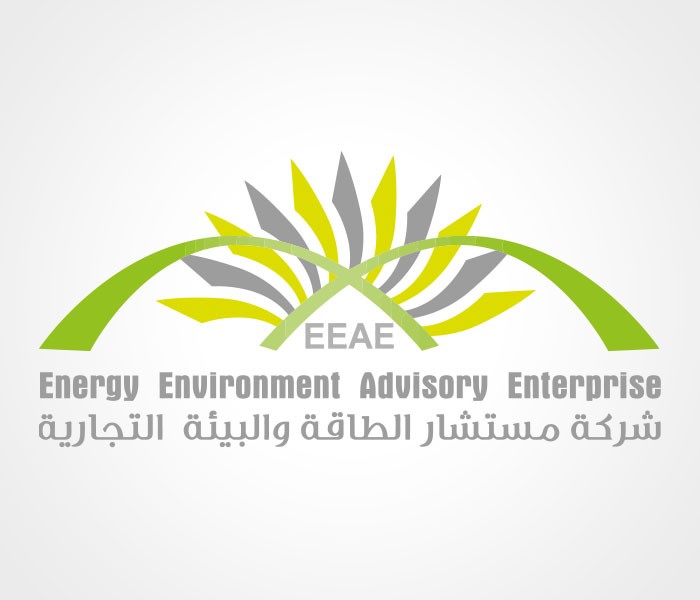 تصميم وتطوير موقع شركة EEAE الدولية