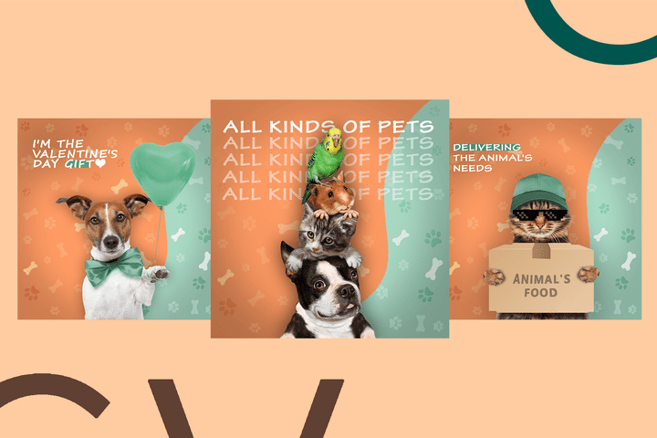 تصميمات سوشيال ميديا لحيوانات اليفة - pets social media designs