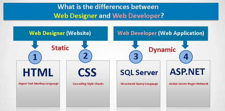 محاضر ومدرب HTML,CSS,SQL Server,ASP.Net