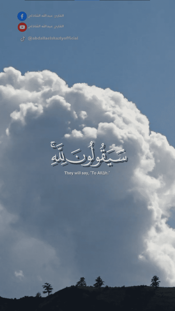 قُلْ لِمَنِ الْأَرْضُ وَمَنْ فِيهَا إِنْ كُنْتُمْ تَعْلَمُونَ