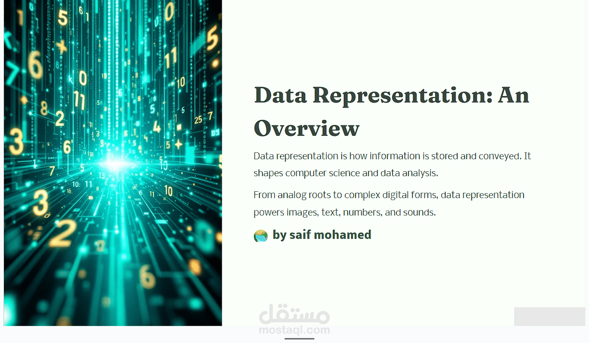 data representation presentation