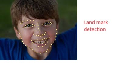 land mark detection