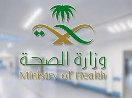 Title: Saudi Mental Health Excel Program: Enhancing Well-Being through Data Analysis