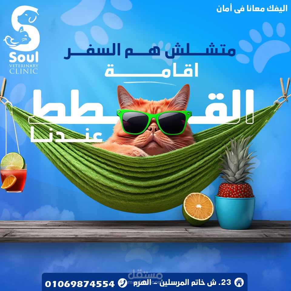 تصاميم سوشيال ميديا لـ Soul  Veterinary Clinic