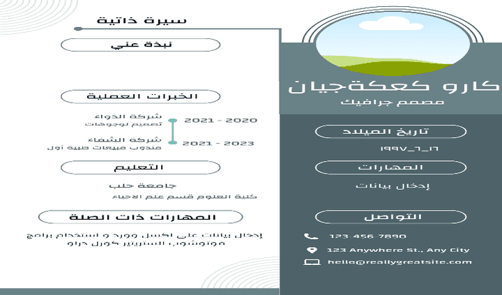 سيرة الذاتية cv