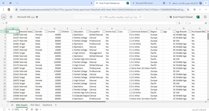 تحليل البيانات خاصه Bike Sales باستخدام برنامج excel