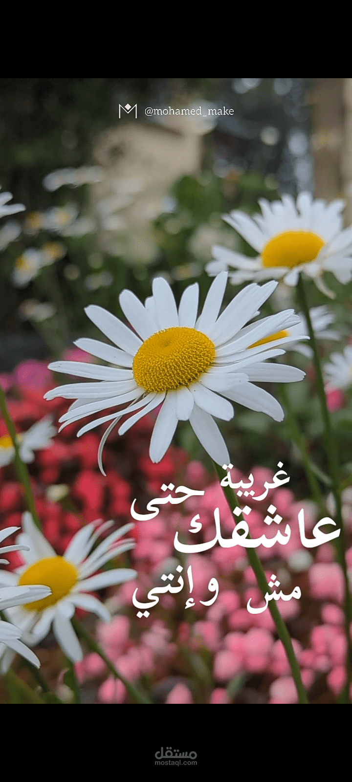 فيديو ايديت