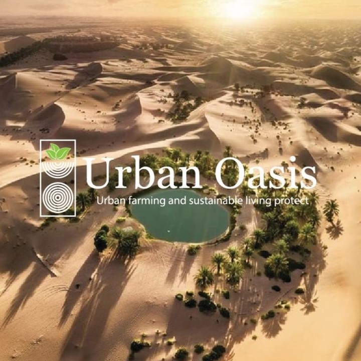 Urban Oasis