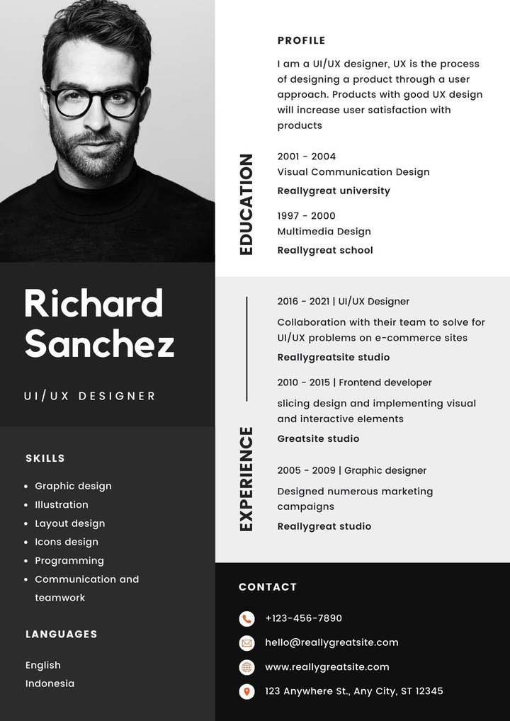 PROFESSIONALL CV