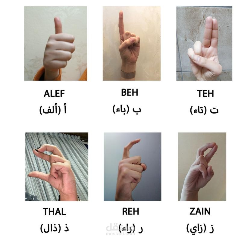 مترجم لغة الإشارة العربية: نموذج ذكاء اصطناعي وتطبيق أندرويد