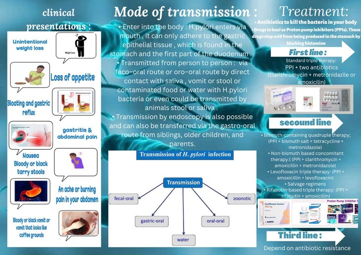 flyer about h.bylori الجرثومة المسئولة عن جرثومة المعدة