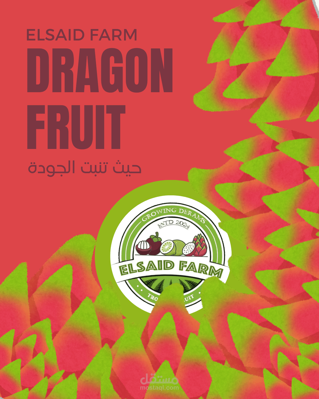 Dragon fruit Posts