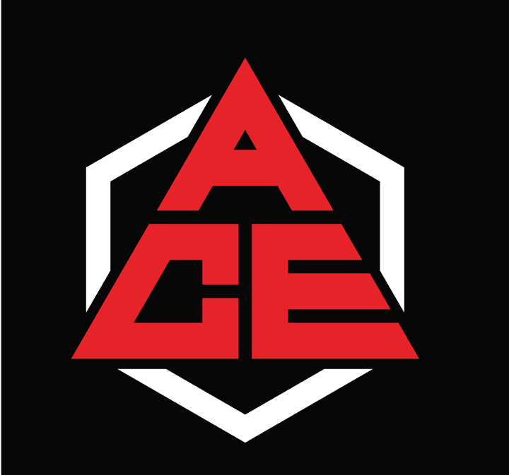 ACE logo company