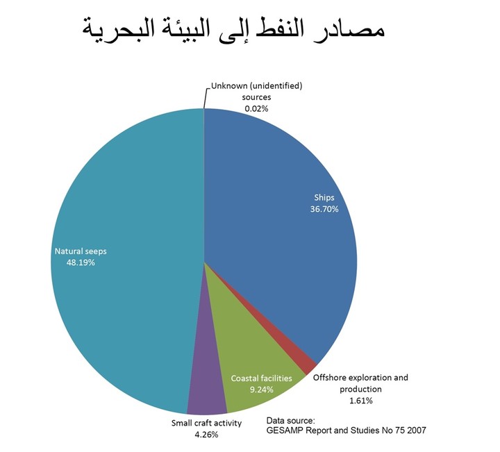 محاضرة IMO