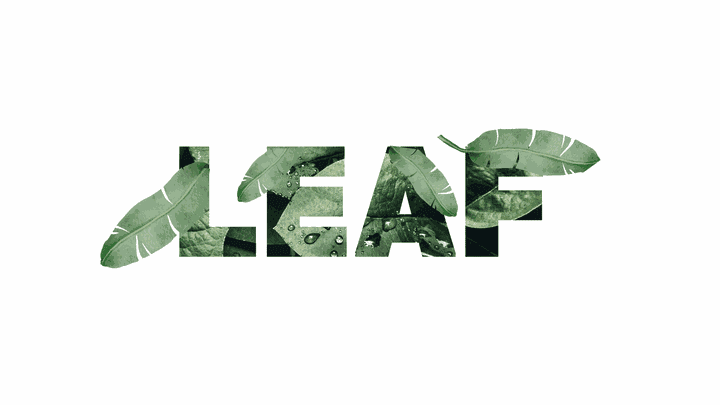 Leaf logo