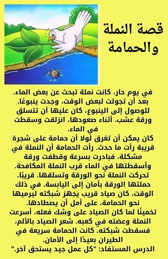 ترجمة من الانجليزيه الي العربيه