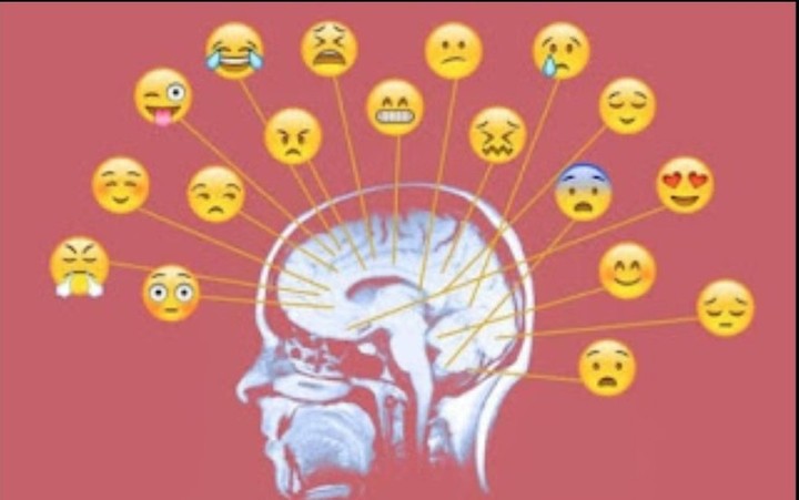 The Chemistry of Feelings: How Brain Chemicals Create Our Emotions