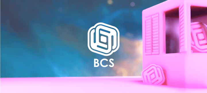 BCS - Self Branding