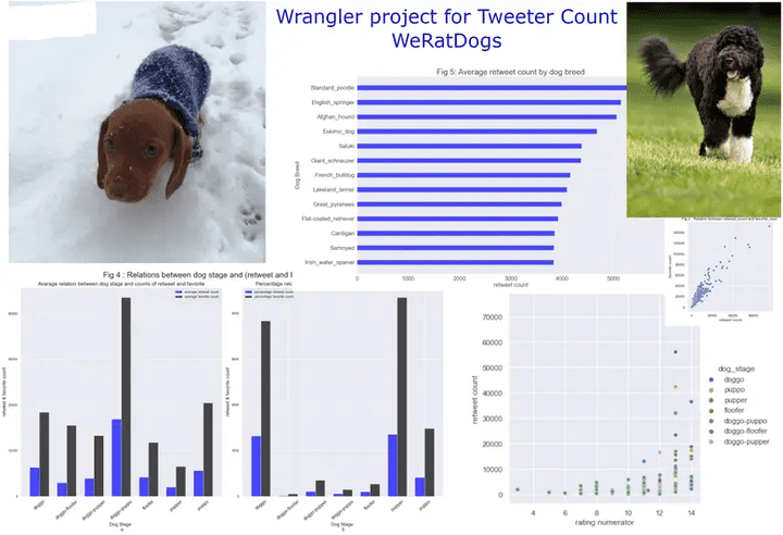 WeRateDogs Twitter Data WRANGLE and ANALYZE - تحليل و تنظيف مجموعة بيانات تويتر (X) لتقيم الحساب من خلال API