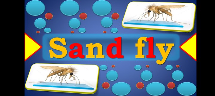 sand fly powerpoint